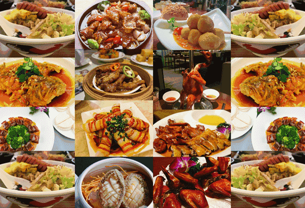 1762226772195593.gif 5.gif