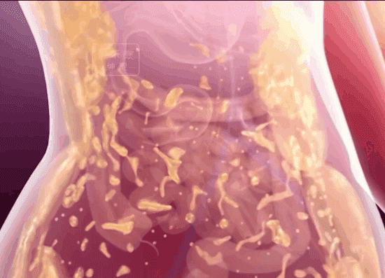 1762226965537912.gif 6.gif